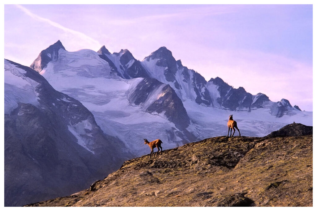Gran Paradiso National Park