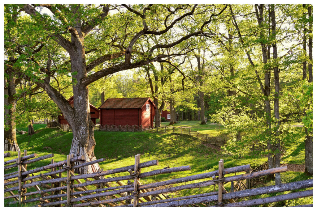 Gran Paradiso National Park